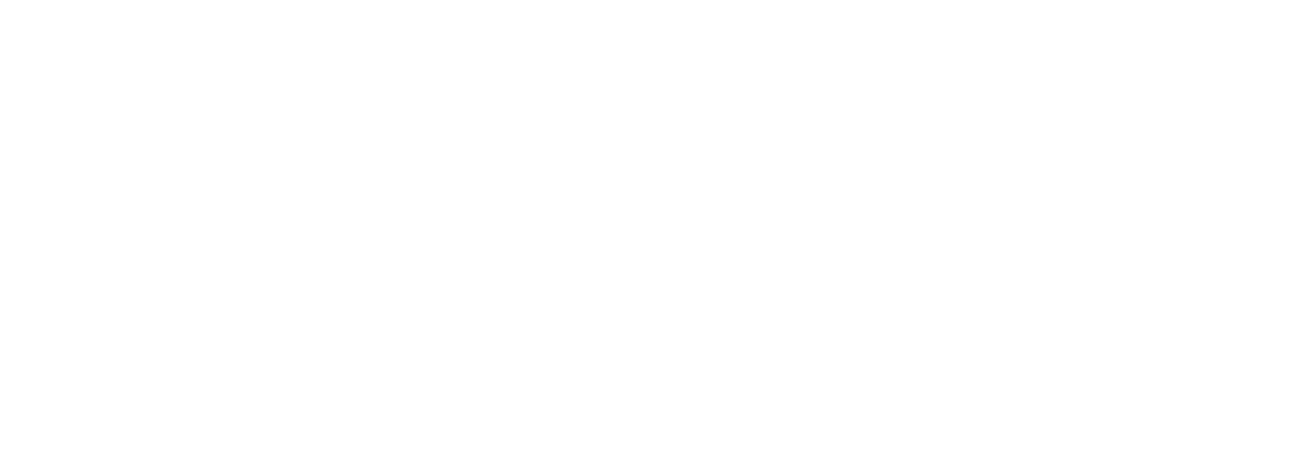 Geisha Fusion